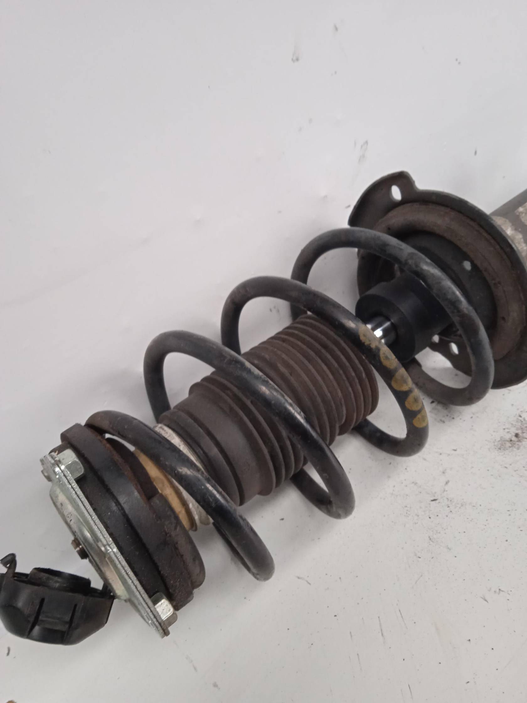 Ammortizzatore ant. sx.